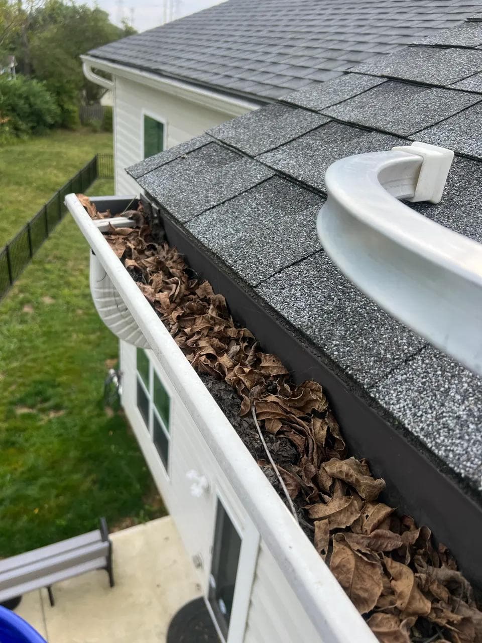 Gutter Leaf Removal — before