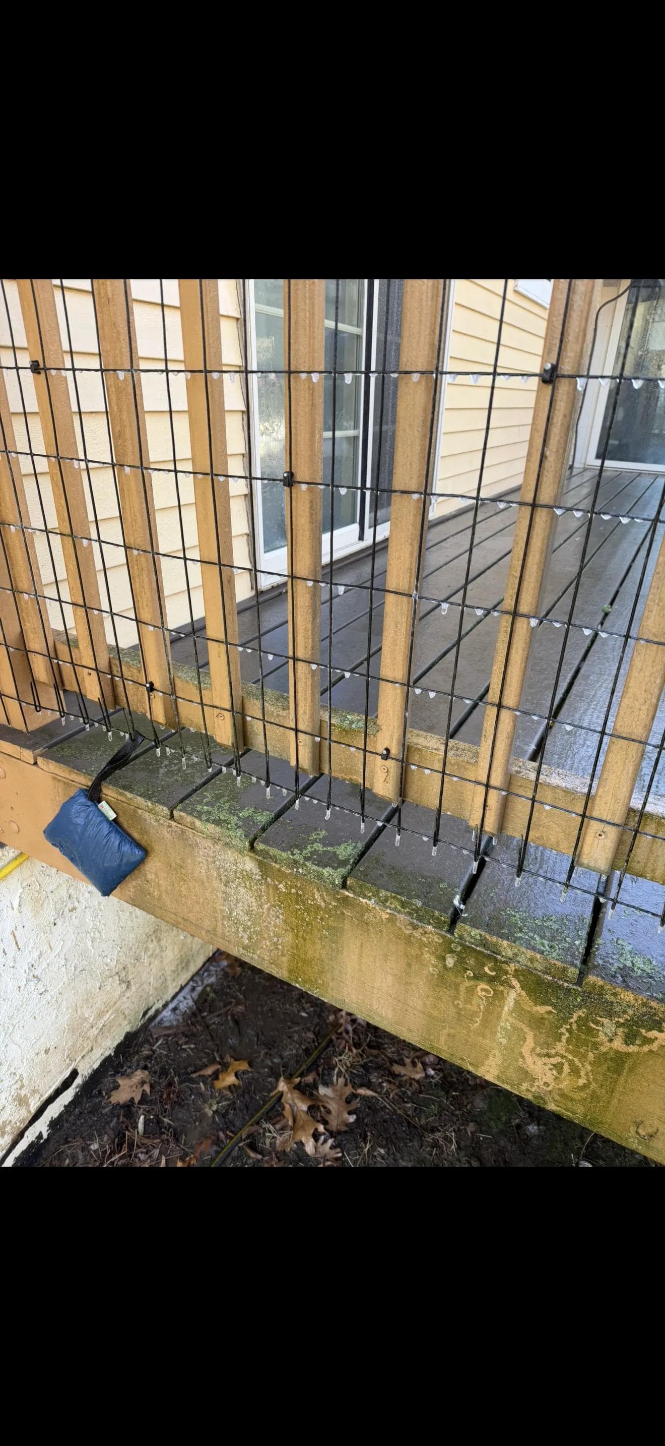Deck Railing — Algae Removal — before