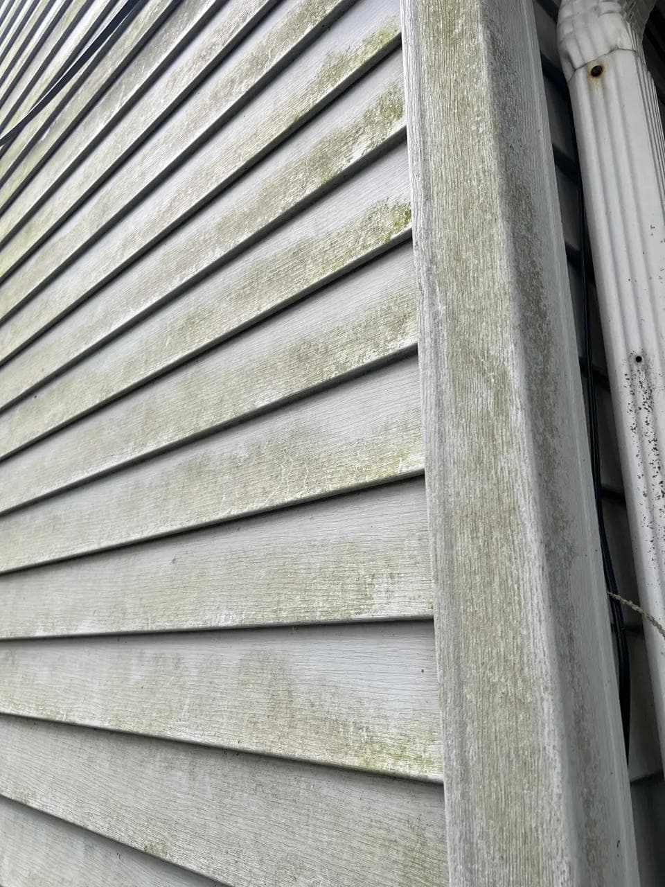 Vinyl Siding — before