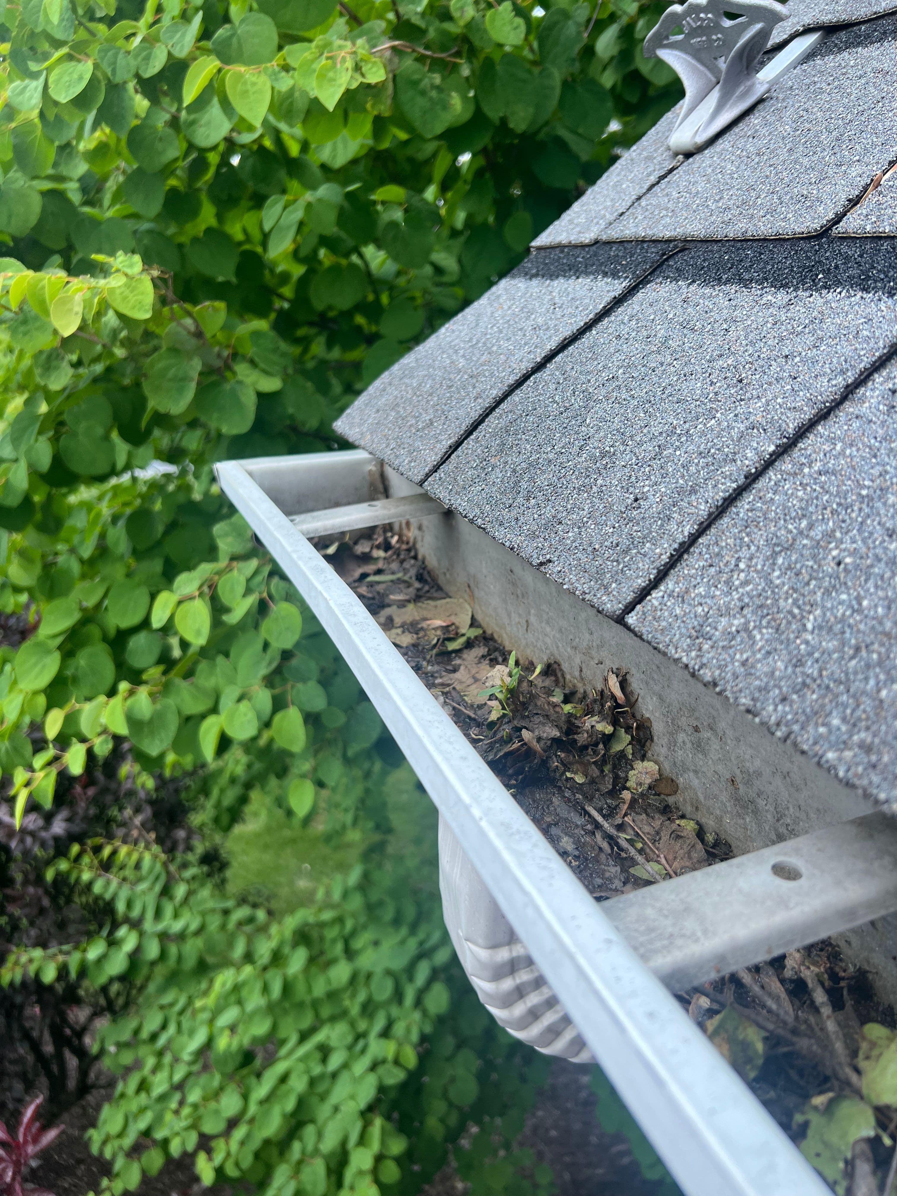 Gutter Cleaning — before